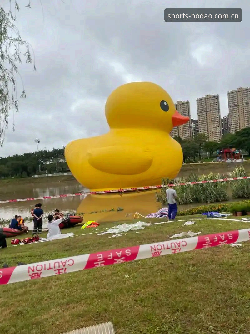 资深用户分享：半岛体育最新地址怎么样？我的真实使用体验与心得